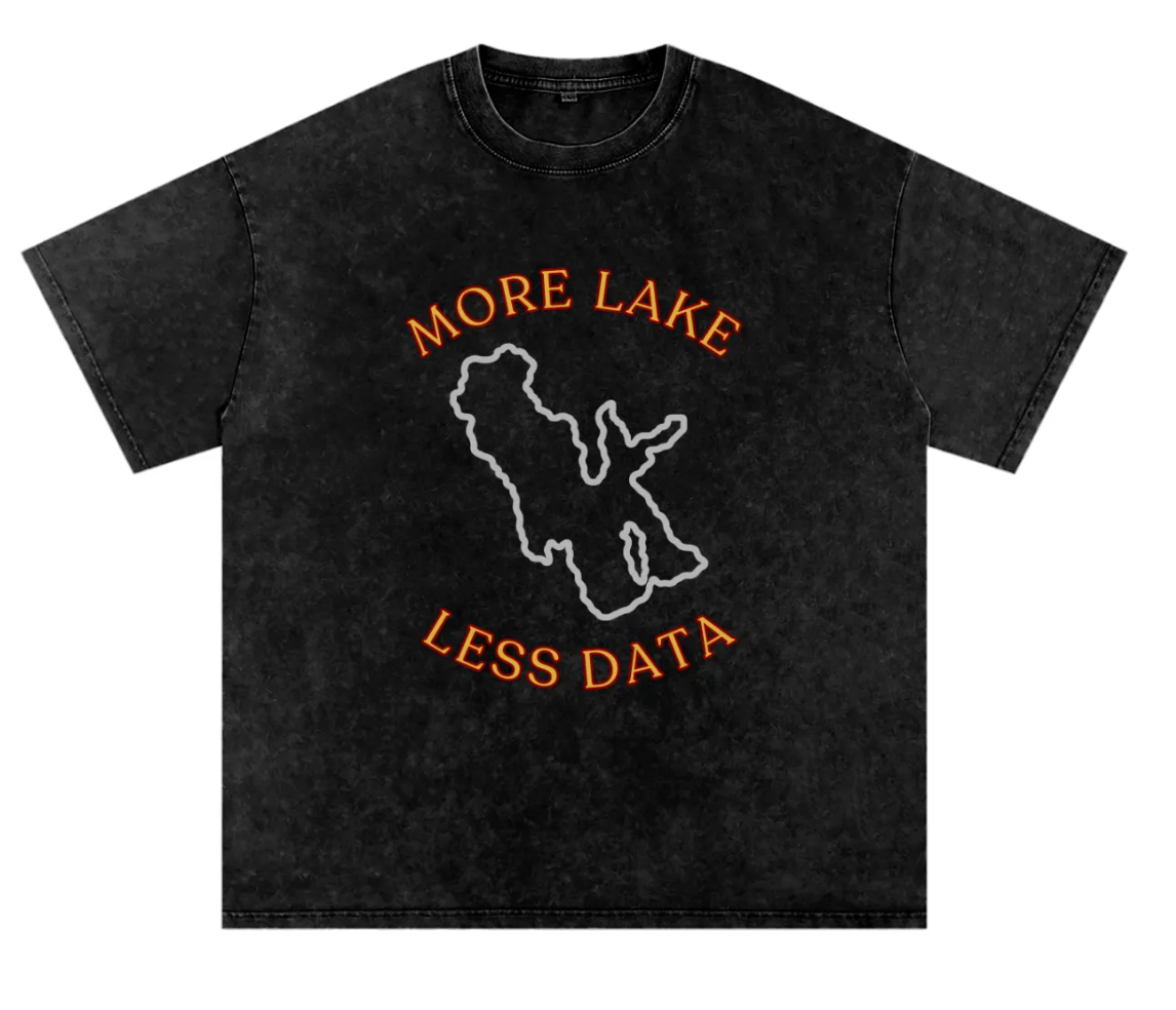 More Lake Less Data Tee
