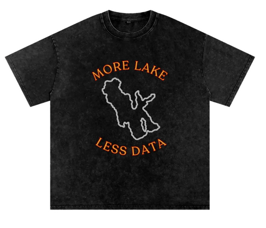 More Lake Less Data Tee