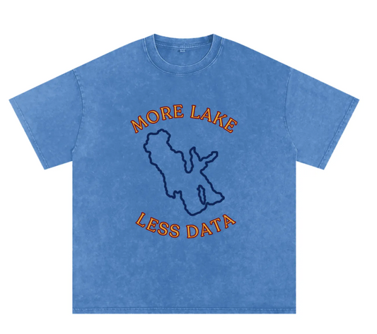 More Lake Less Data Tee